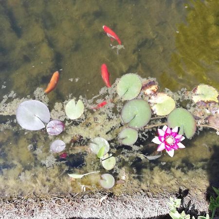 Un Avant Gout Du Nirvana Canet  Dış mekan fotoğraf