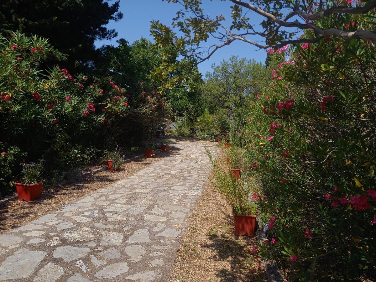 Un Avant Gout Du Nirvana Canet  Dış mekan fotoğraf